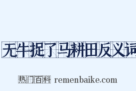 无牛捉了马耕田反义词是什么意思的图片